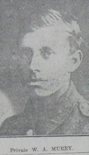 WILLIAM ALFRED MURRAY