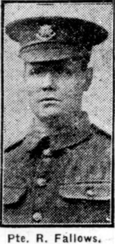 Robert FALLOWS