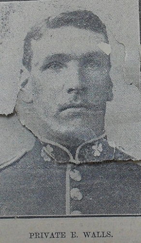 EDWARD WALLS