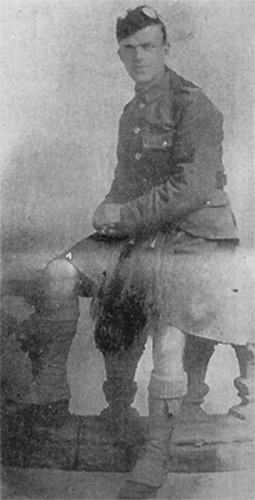 Liddell Peverley NORTH