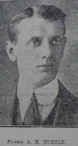 ARTHUR HENRY TURTLE