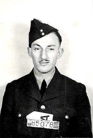 DAVID LEVINE