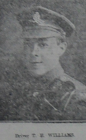 THOMAS HAMER WILLIAMS